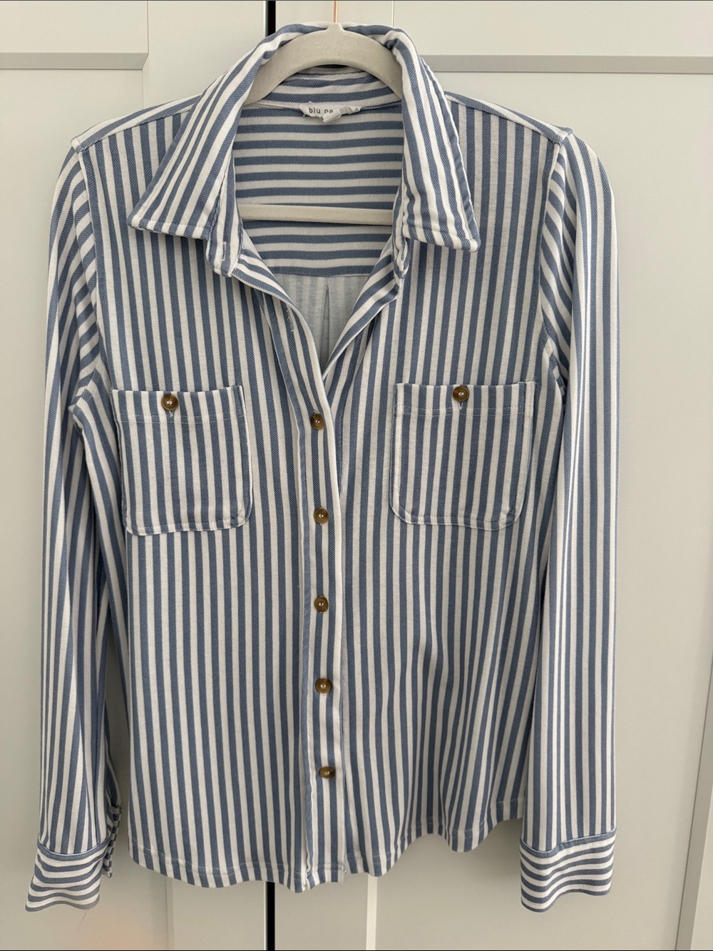 Blu Pepper Blue & White Vertical Stripe Button-Down Shirt